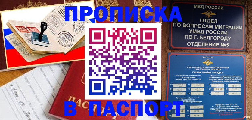 купить прописку в Балашихе